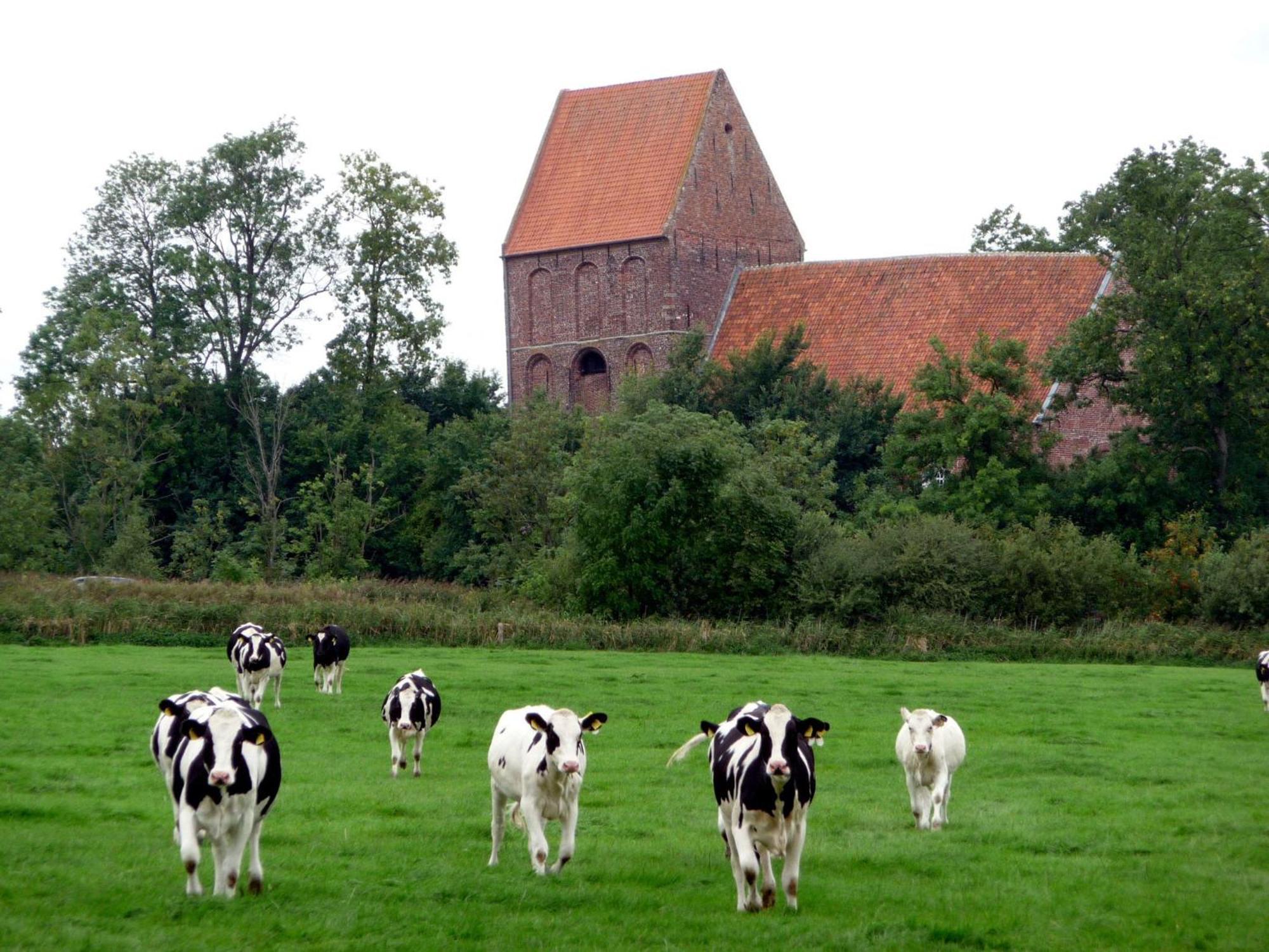 Ferienhaus Ronny Hinte Экстерьер фото